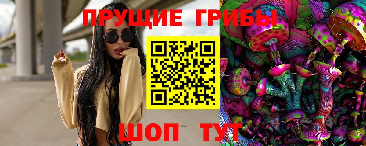 Псилоцибиновые грибы Psilocybe Долгопрудный